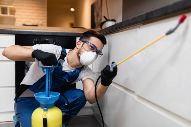 Best Local Pest Control Services  in Monrovia, MD