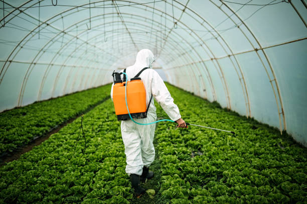 Best Residential Pest Control  in Monrovia, MD