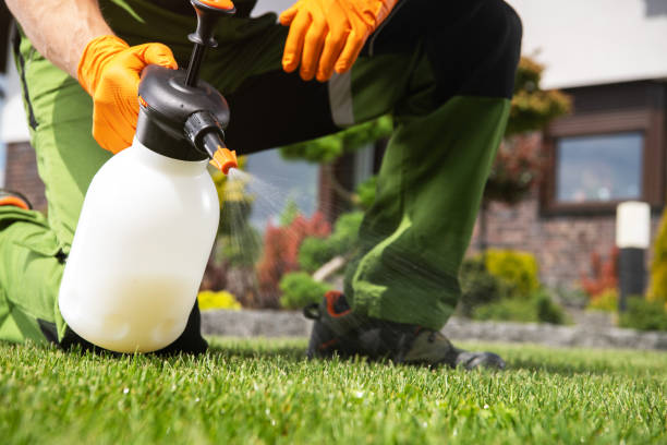 Insect Control in Monrovia, MD