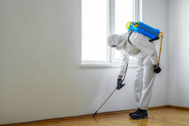 Best Emergency Pest Control  in Monrovia, MD