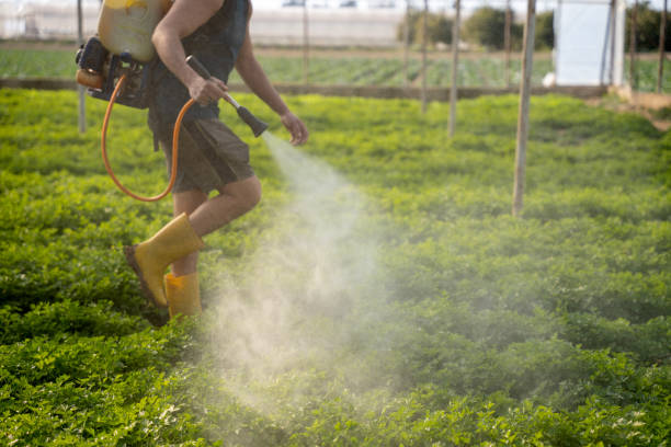 Best Best Pest Control Companies  in Monrovia, MD