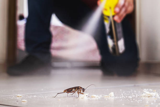 Best Bed Bug Extermination  in Monrovia, MD