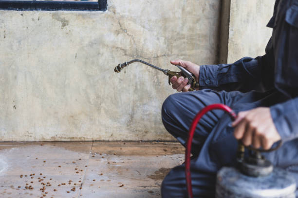 Best Termite Control Services  in Monrovia, MD